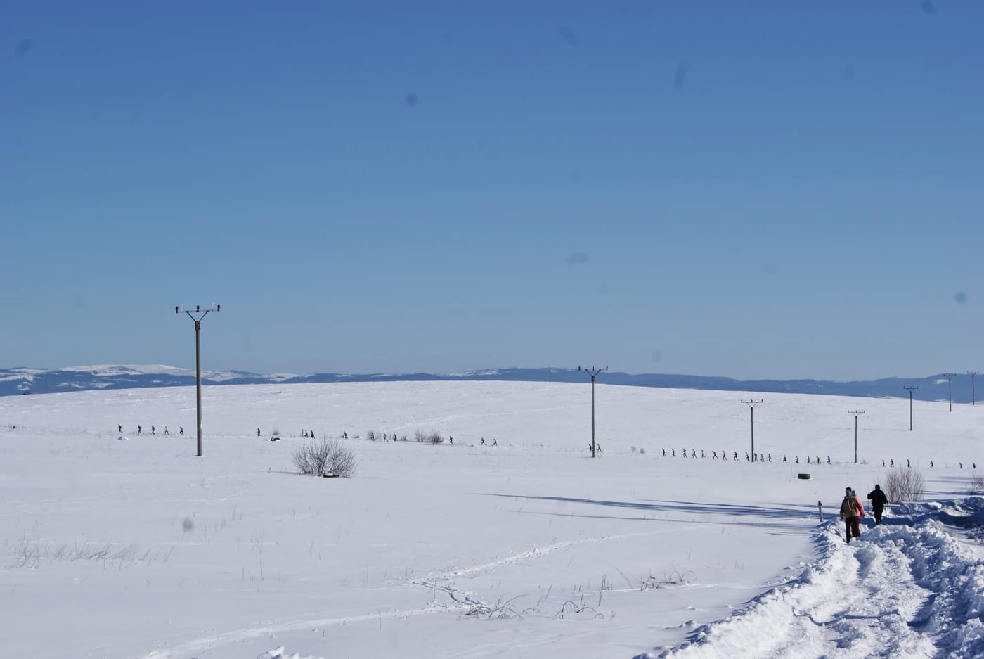 Pohľad na bežcov po odbočke na pole